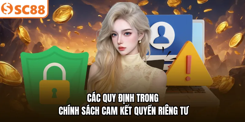 Các quy định trong chính sách cam kết quyền riêng tư