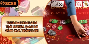 Ảnh đại diện tiger baccarat